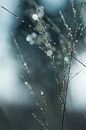 《真人快打1》黄牛拍卖压力测试码 高达227美元